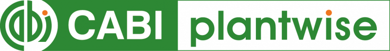 CABI Plantwise logo
